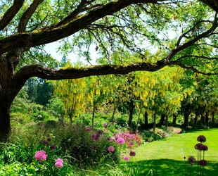 EXPLORING BUTCHART GARDENS